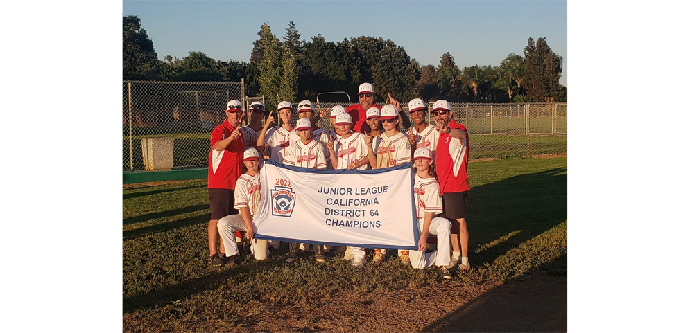 2022 VNLL Junior District All Star Champions